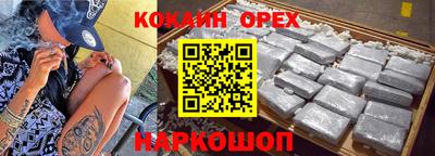 крисы Кингисепп