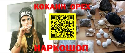 крисы Кингисепп