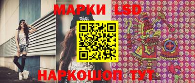 крисы Кингисепп