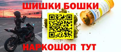 крисы Кингисепп