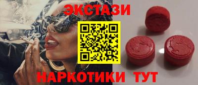 крисы Кингисепп