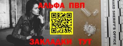 крисы Кингисепп